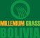 Millenium grass Bolivia